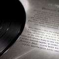 plaga pożeracze słońc vinyl 4.png