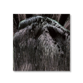 FLESHPRESS - Viimeinen Saavutettu Tahto CD 1.png