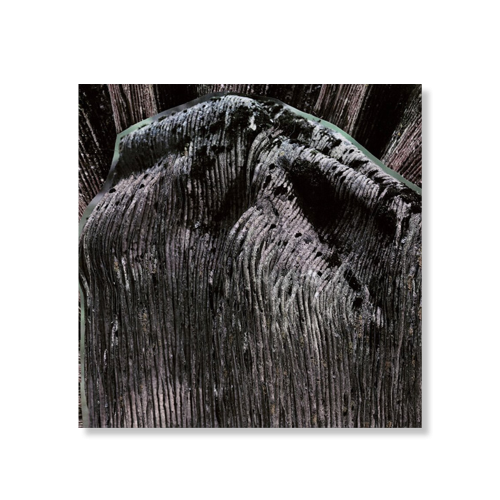 FLESHPRESS - Viimeinen Saavutettu Tahto CD 1.png