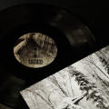 FLESHPRESS - Viimeinen Saavutettu Tahto LP 2.png