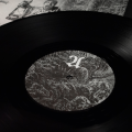 OWLS WOODS GRAVES - SECRET SPIES VINYL 1.png
