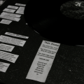 OWLS WOODS GRAVES - SECRET SPIES VINYL 2.png
