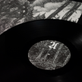 OWLS WOODS GRAVES VINYL 1.png