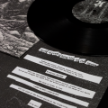 OWLS WOODS GRAVES VINYL 2.png