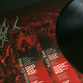 DEAD MONUMENTS vinyl 2.png