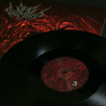 DEAD MONUMENTS VINYL 3.png