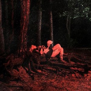 witchfuck.trucizna-altare.sanguinis.cover.jpg