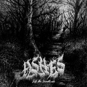 Ashes "Into the Woodlands" CD