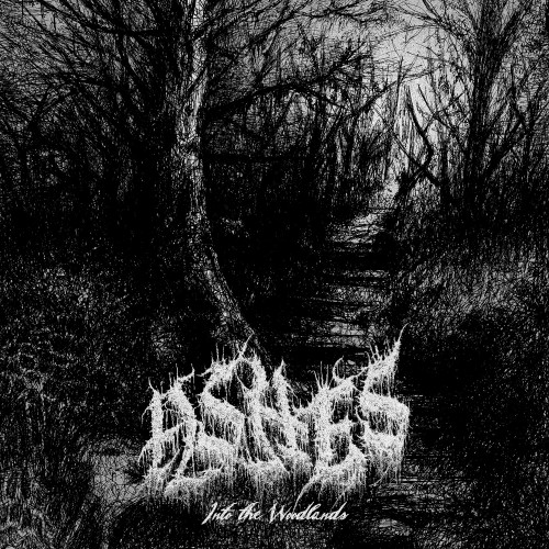 Ashes  Into the Woodlands.jpeg