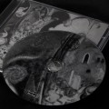 CLANDESTINE BLAZE _HARMONY OF STRUGGLE_ CD 3.jpg
