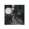 OVER THE VOIDS - OVER THE VOIDS 1 bt.png