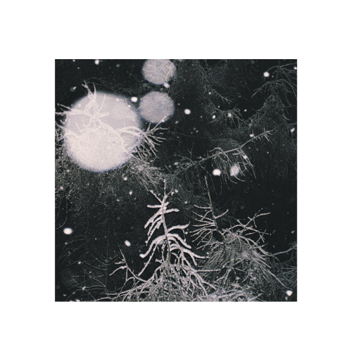OVER THE VOIDS - OVER THE VOIDS 1 bt.png